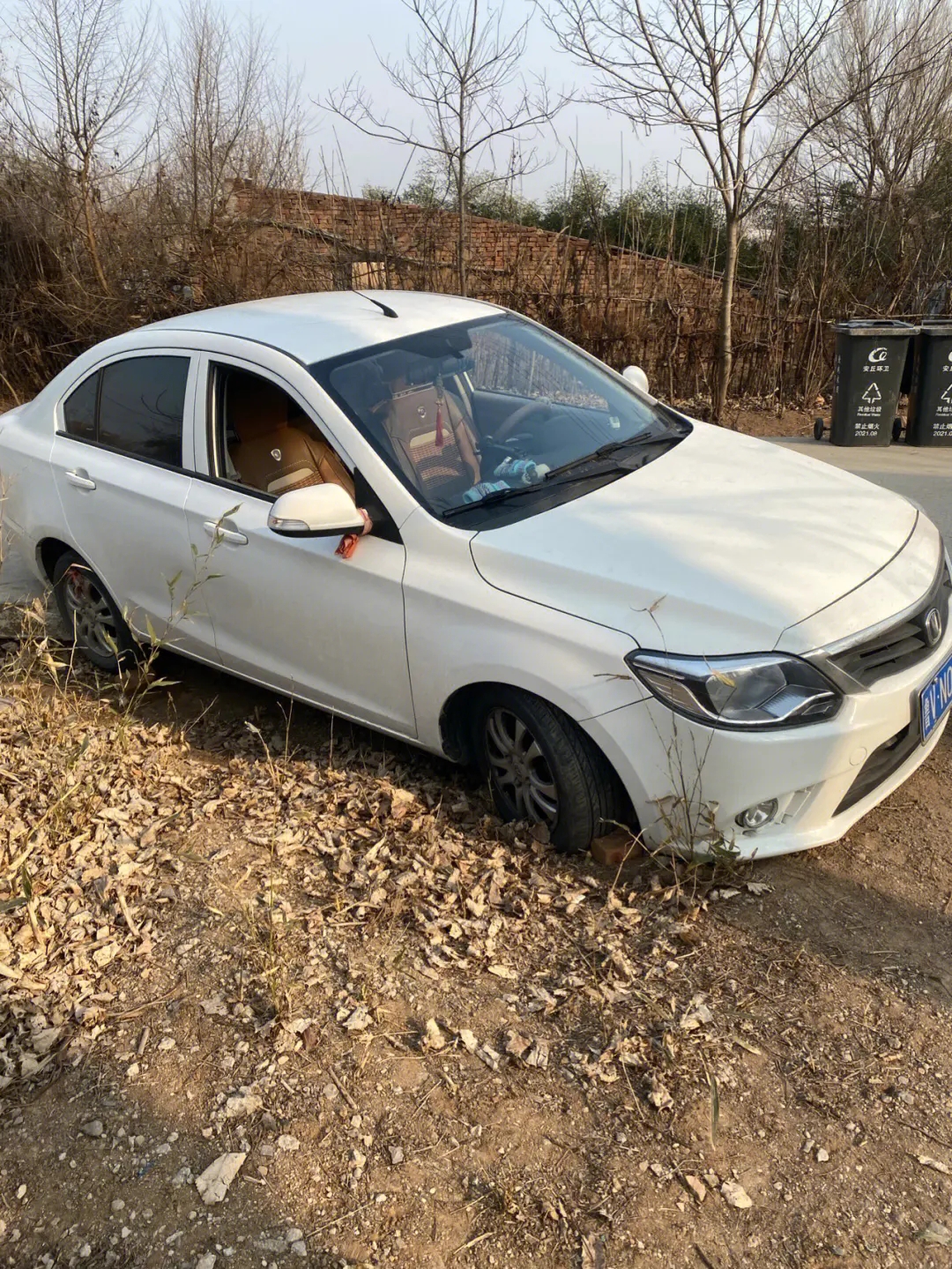 1738715441274206.jpg 脱困11.jpg